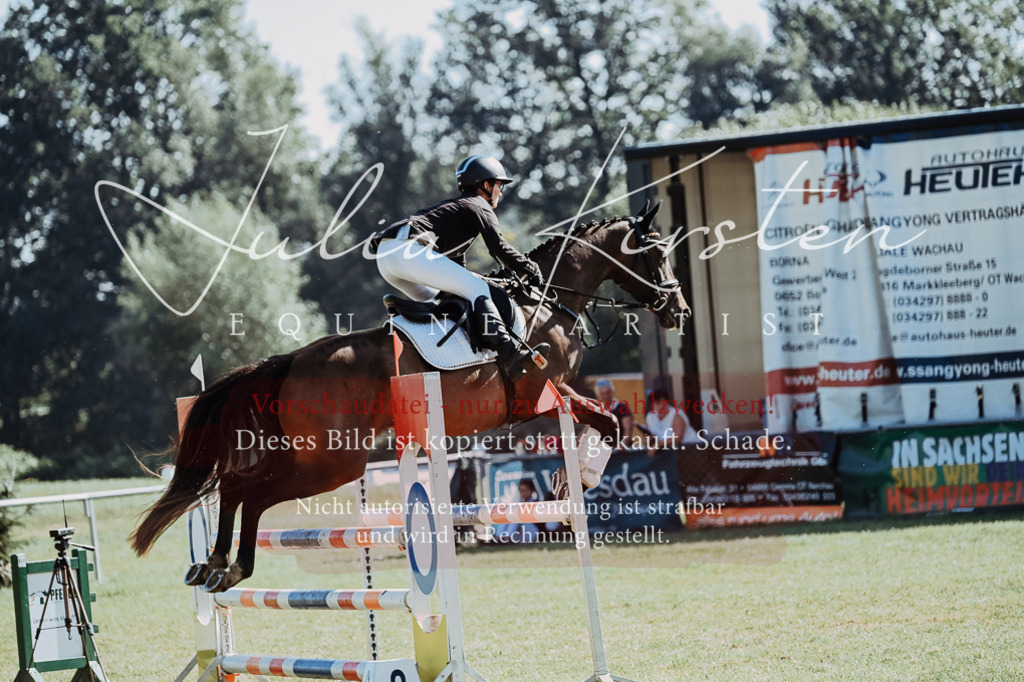 DSC_5585 | Pferde- und Turnierfotografie in Westsachsen. Pferdeportraits, Auftragszeichnungen und intuitive Kunst.