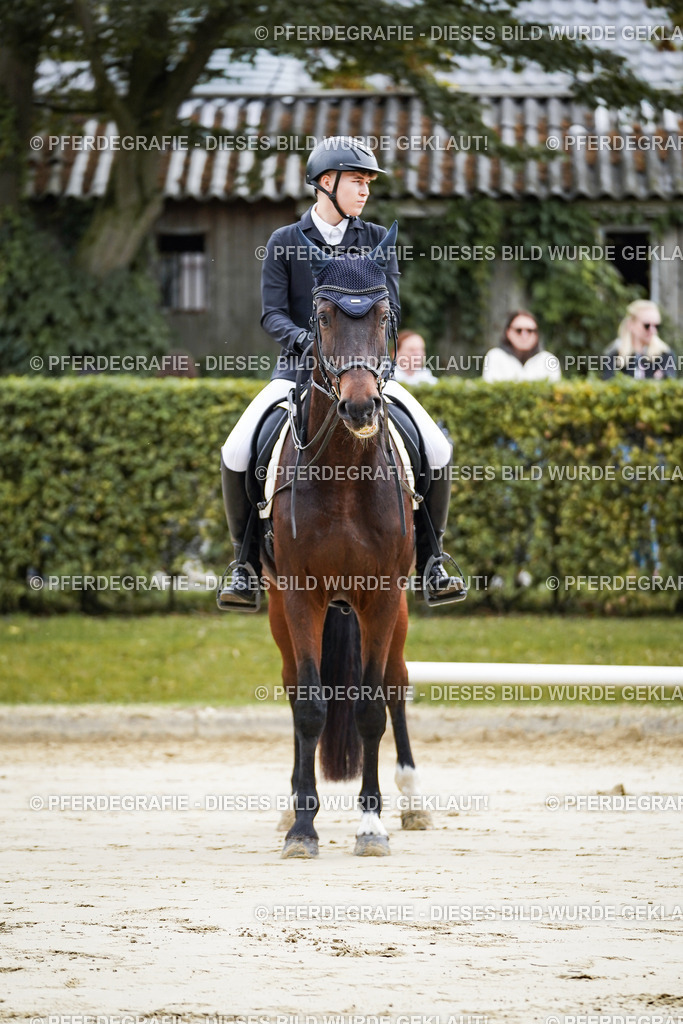 DSC04935 | Pferdegrafie