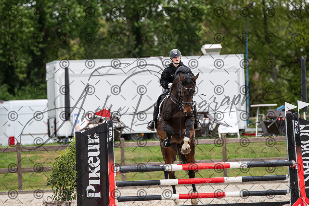 KPT_7836 | andre_photographic