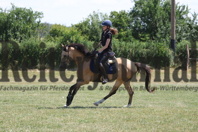 0S4A7989 | Alle Fotos der Reiterjournal Fotografin Doris Matthaes im Reiterjournal Online-Fotoshop. - Realisiert mit Pictrs.com
