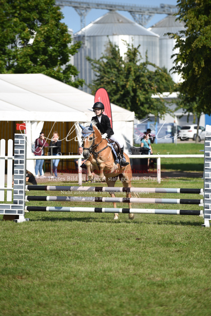 DSC_9048 | Pferde- und Turnierfotografie in Westsachsen. Pferdeportraits, Auftragszeichnungen und intuitive Kunst.
