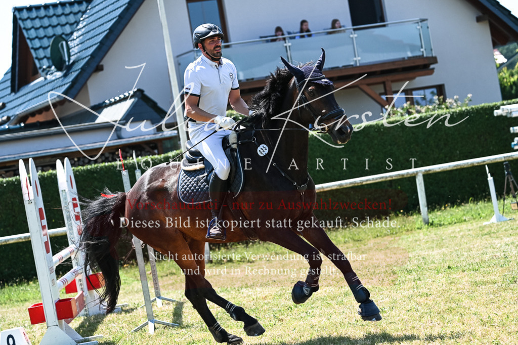 DSC_0331 | Pferde- und Turnierfotografie in Westsachsen. Pferdeportraits, Auftragszeichnungen und intuitive Kunst.