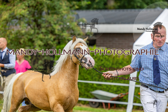 3_MG_3636 (921) | mandyhollmannphotographie