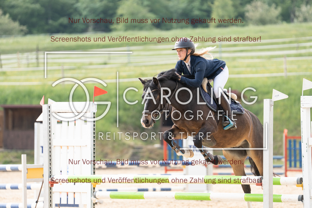 DSC04143 | Springturnier_Ehingen_Mai_2026, Maleen_Sina_Hepp, Montis_Mr_Knister_S