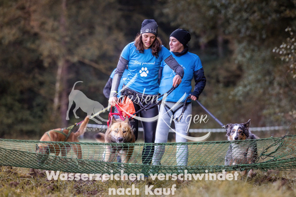 0823_ZZ90209 | kk-dogfotos
