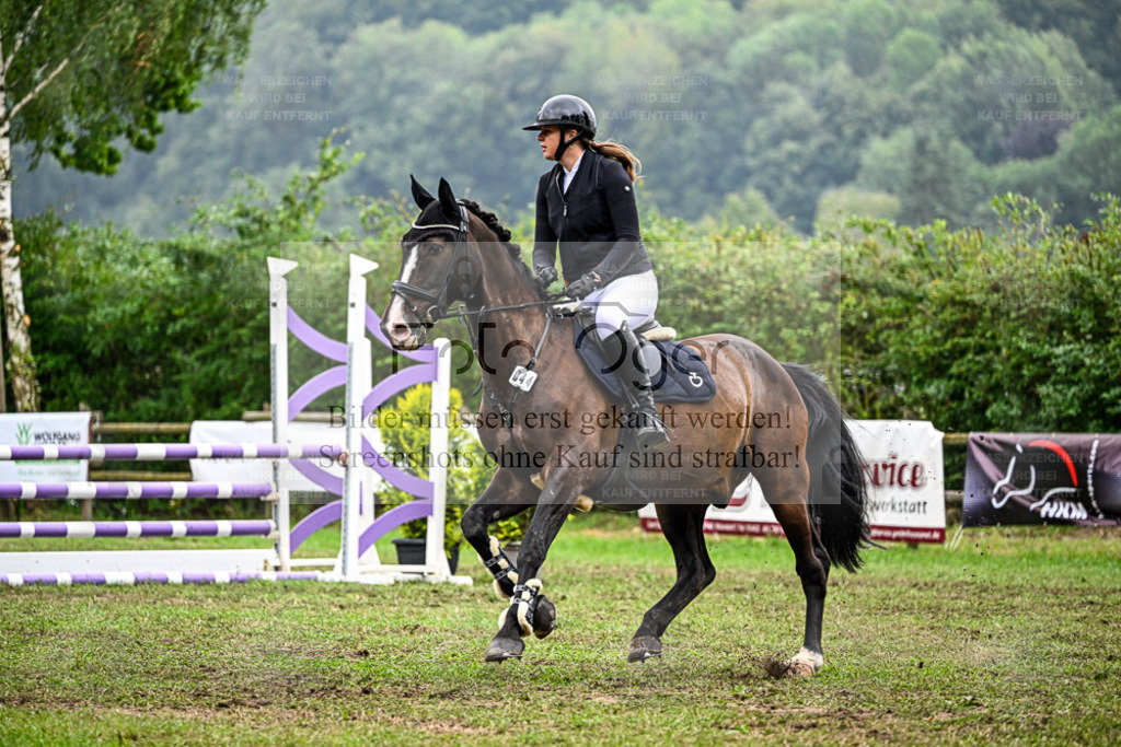 Bissendorfer Reitertage | Entdecke hochwertige Reitturnierfotos von Foto Oger. Professionell, emotional und authentisch – jetzt Lieblingsmomente im Shop bestellen. - Realisiert mit Pictrs.com