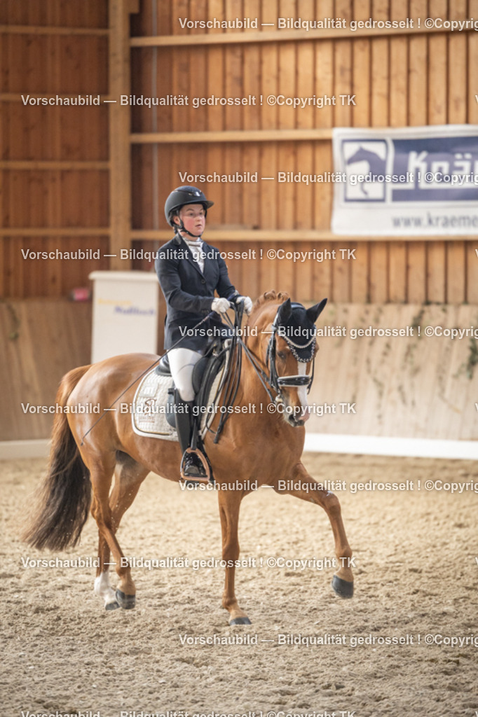 _D5A6113 | Emotionale Pferde- & People-Fotografie rund um Heidelberg, Leimen & Umgebung. Natürliche Fotos von Pferd, Mensch & Familie. Jetzt Termin sichern!