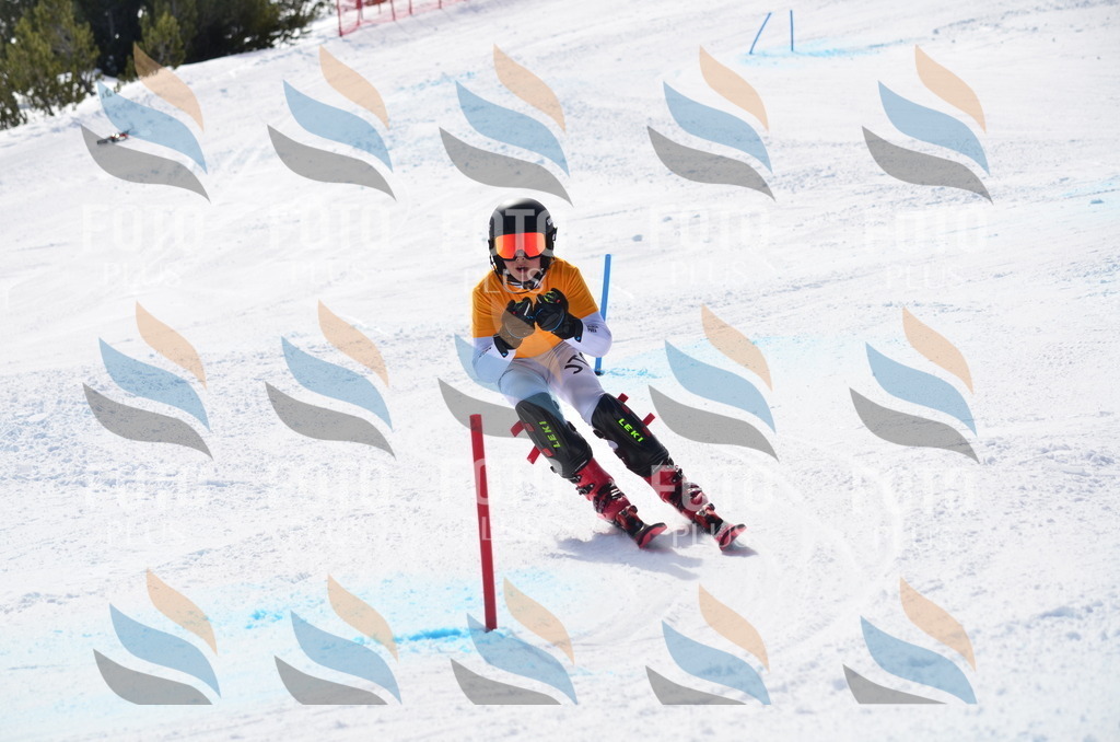 C9864 | holidayphoto