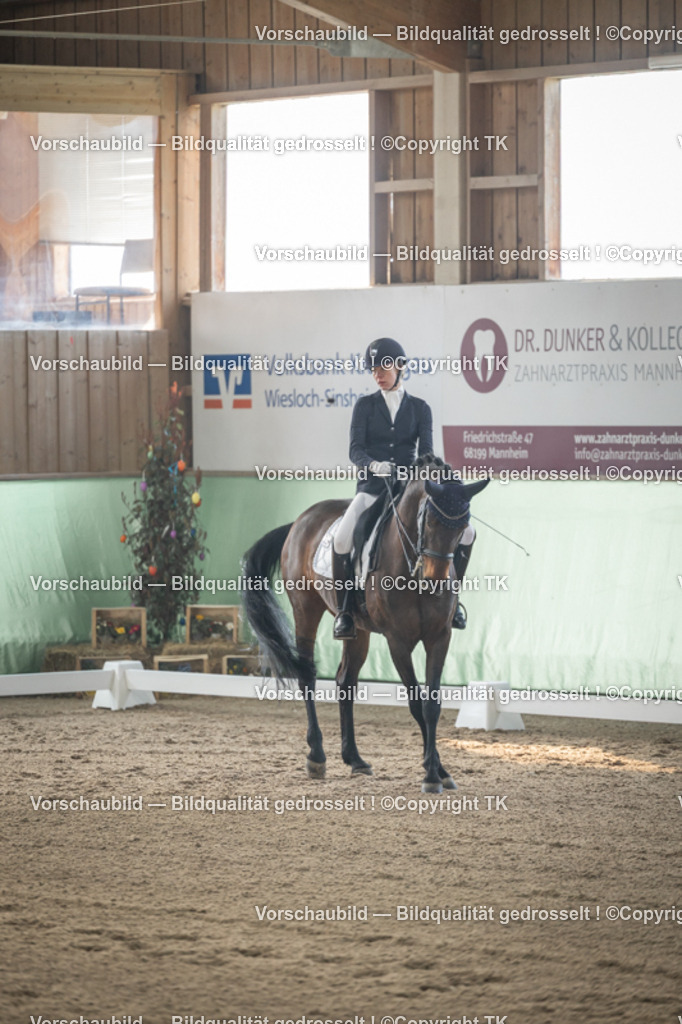 _D5A4307 | Emotionale Pferde- & People-Fotografie rund um Heidelberg, Leimen & Umgebung. Natürliche Fotos von Pferd, Mensch & Familie. Jetzt Termin sichern!