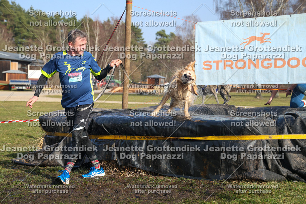 Dog Paparazzi - Strongdog North Mrz26-3145 | Dog Paparazzi Jeanette Grottendiek Fotografie & Videografie - Realisiert mit Pictrs.com