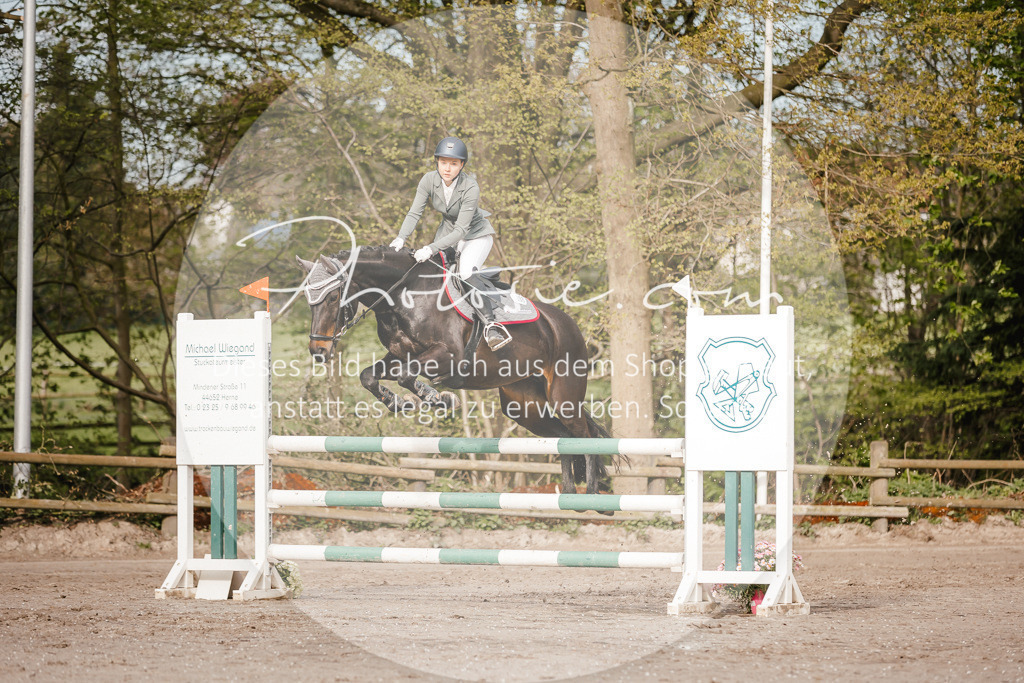 3I6A3316 | Stimmungsvolle Portraits und Reitsportfotografie im Ruhrgebiet und im Münsterland.

Pferdefotografie, Hundefotografie, Tierfotografie, Reportagen, Portraits von Tier und Mensch, Turnierfotografie in Bochum, Recklinghausen, Marl, Haltern am See, Dülmen.. - Realisiert mit Pictrs.com
