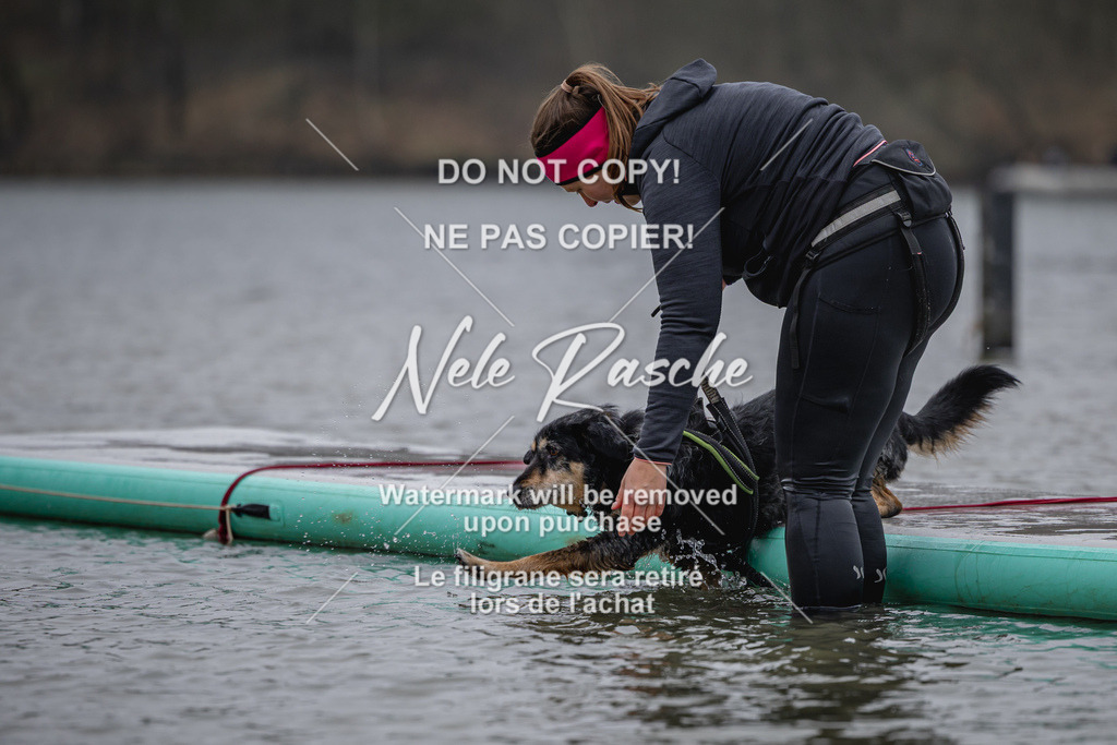 nelerasche_Hulsbeek_Sa1430-1515_332 | nelerasche