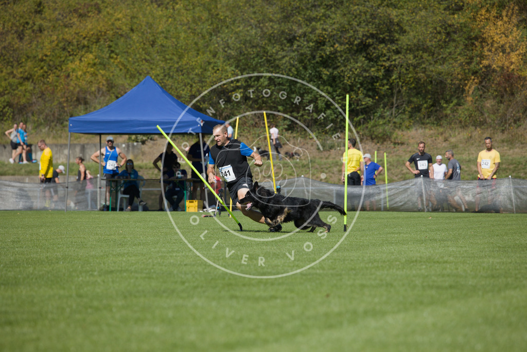 0L8A6146 | Hundefotografie, Tierfotograf, Pfotenfotografie, Fotoshooting Hund, Hunde Portrait, Hundesport, Hundeportraits, Heideshooting, Hunde, Sportfotograf, Hundefotograf, Turnierhundsport, THS,  - Realisiert mit Pictrs.com