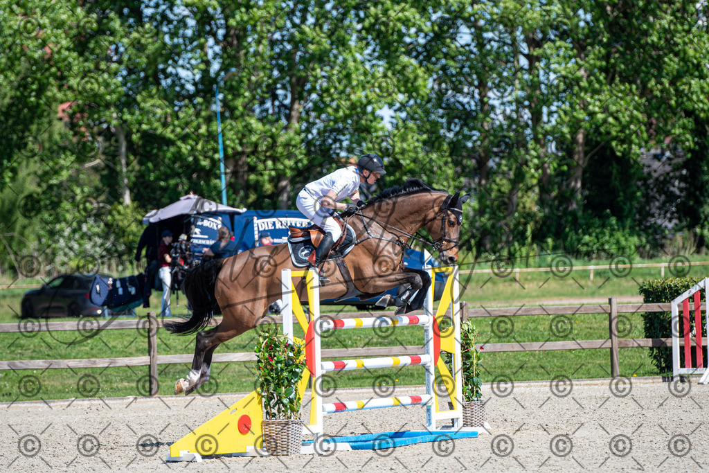 KPT_1399 | andre_photographic