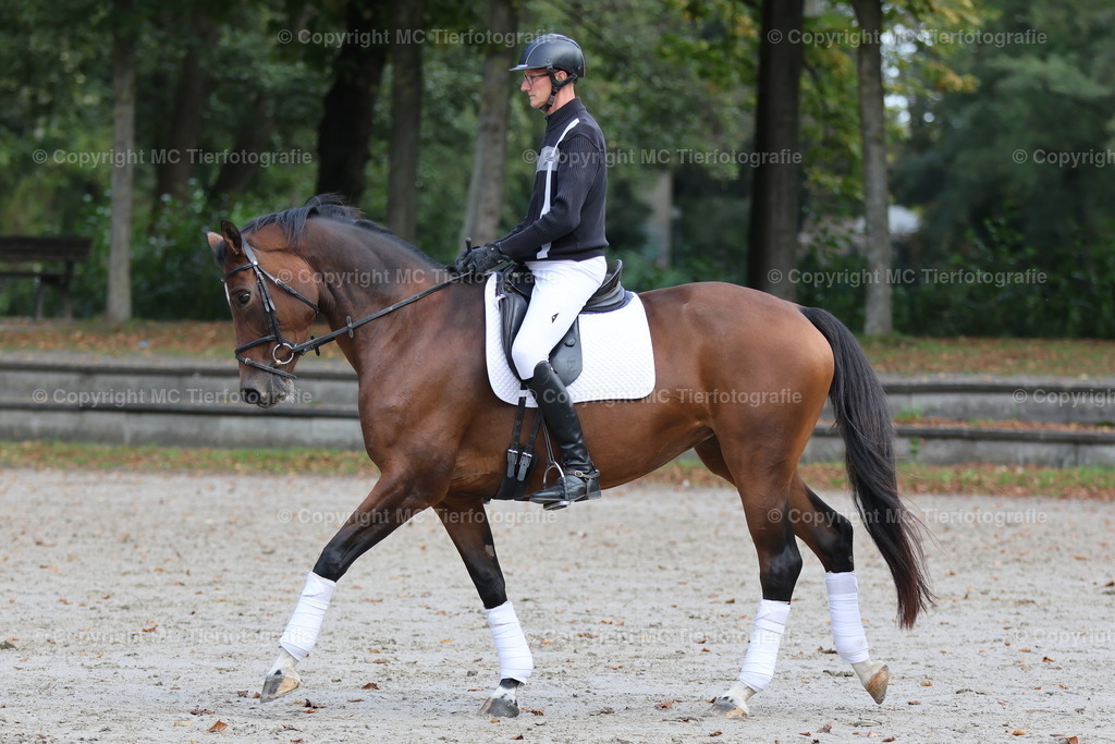 BesReise2024Wickrath041024MC3H5A4497B | Pferdefotos online bestellen - Realisiert mit Pictrs.com