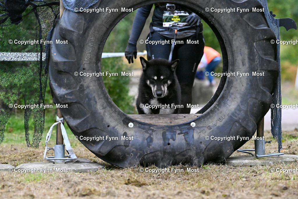 DSC_7947 | Hallo und herzlich Willkommen auf meiner Shop-Seite Fynn Most.

Ich wünsche Dir viel Spaß beim stöbern durch die Bilder, wenn Du Fragen hast oder Bilder vermisst, kannst du mir gerne eine Nachricht schreiben. - Realized with Pictrs.com