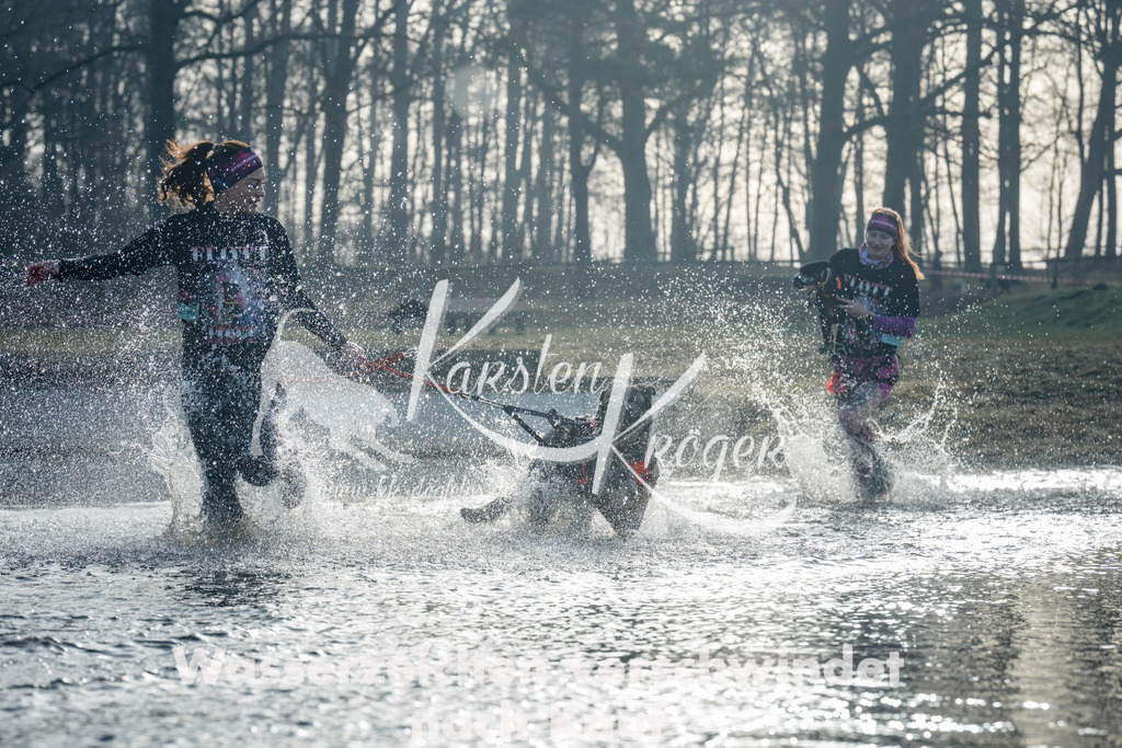 0851_ZZ98754 | kk-dogfotos