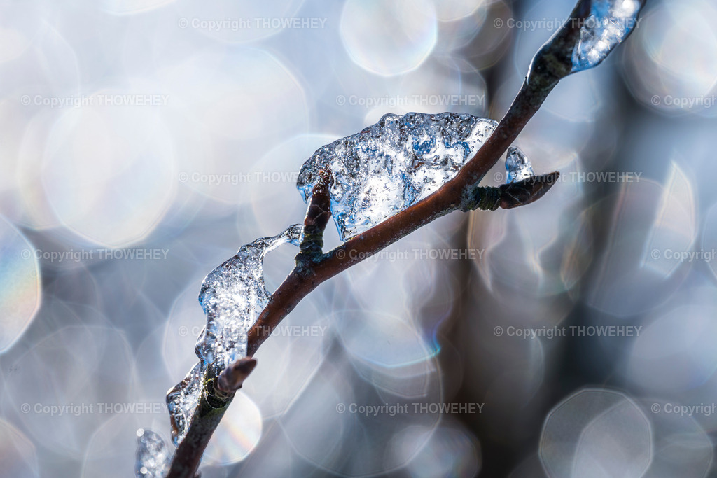 _1028110 | thowehey - Realisiert mit Pictrs.com