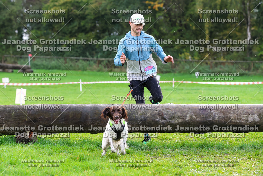 Dog Paparazzi -  SD1026-2187 | Dog Paparazzi Jeanette Grottendiek Fotografie & Videografie - Realisiert mit Pictrs.com