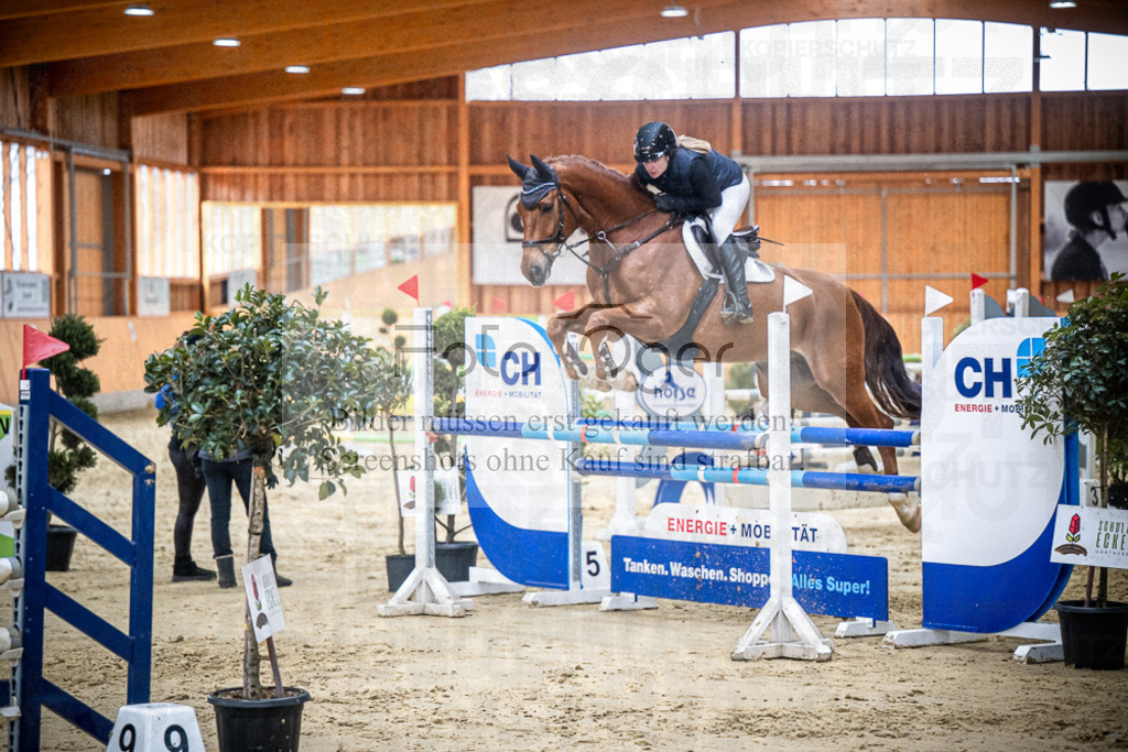 DOS_1125 | Entdecke hochwertige Reitturnierfotos von Foto Oger. Professionell, emotional und authentisch – jetzt Lieblingsmomente im Shop bestellen.Deutschlandweite Turnierfotografie. - Realisiert mit Pictrs.com