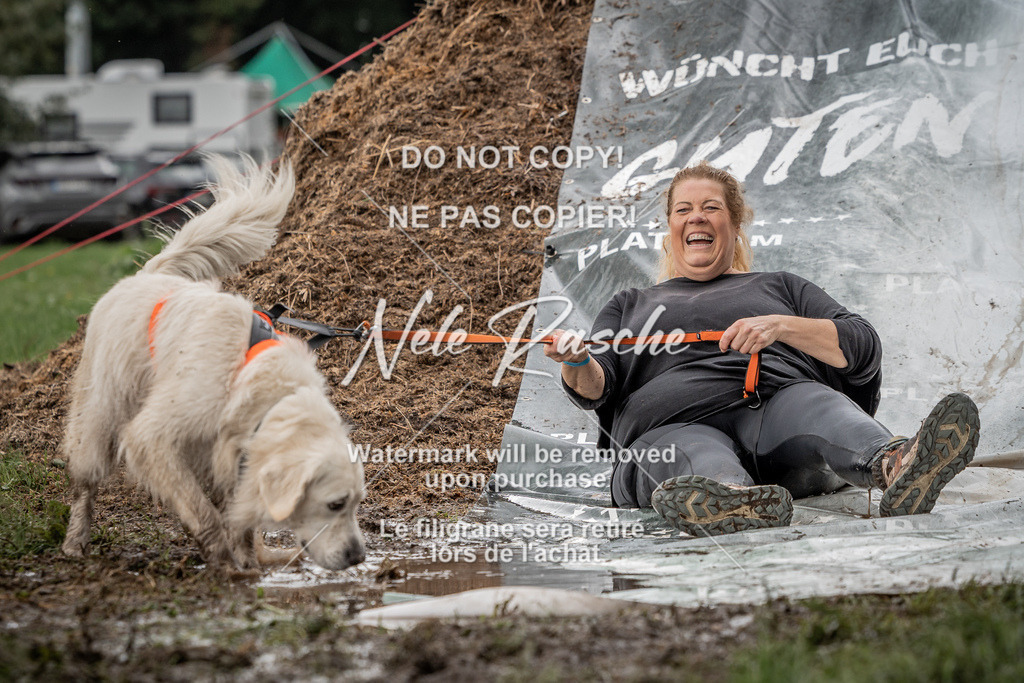 nelerasche_Wingst_Sa1300-1330_355 | nelerasche
