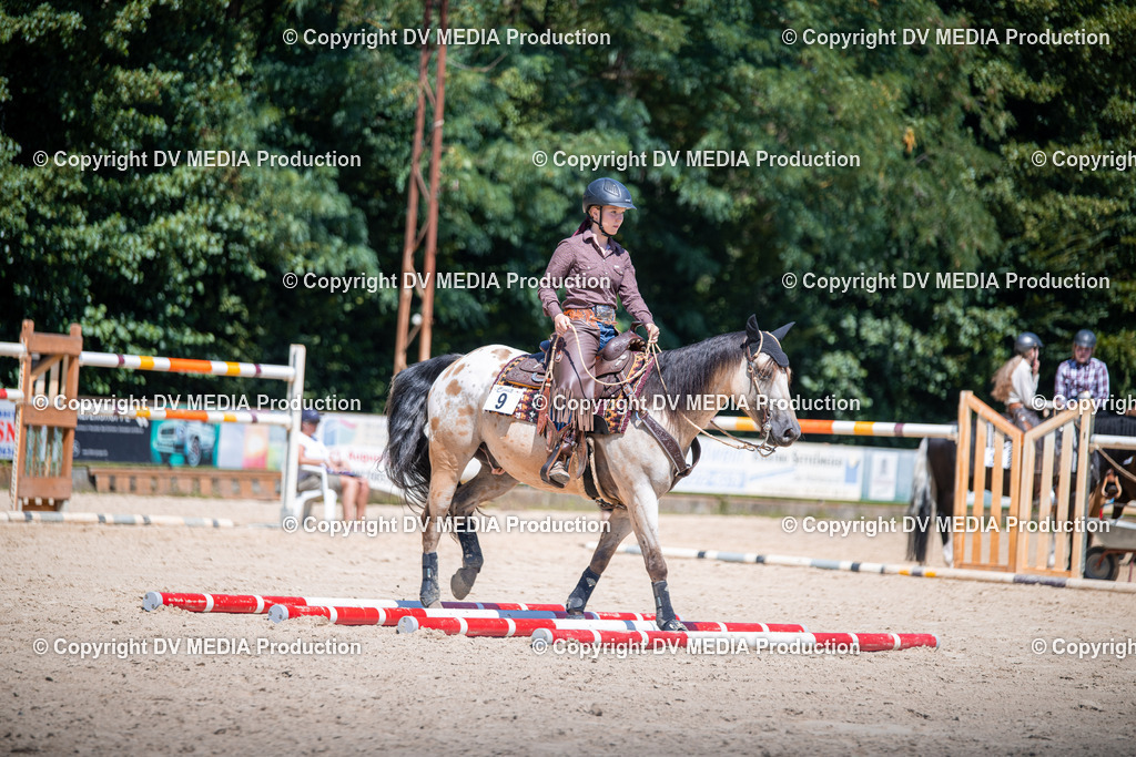 ZS1_1315 | dv-media-shop - Realisiert mit Pictrs.com