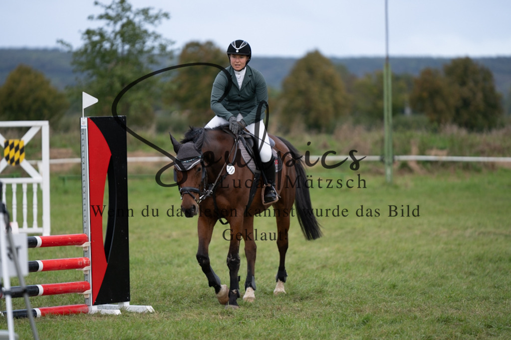 A7V06354 | Pferdefotograf