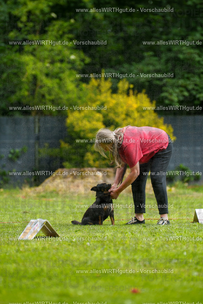 @allesWIRTHgut_Tierfotografie - www.allesWIRTHgut.de - 090434-7R506501 | Professionelle Tierfotografie in Mönchengladbach von Daniel Wirth (allesWIRTHgut). Liebevolle & natürliche Bilder von Hunden & Katzen für unvergessliche Erinnerungen.