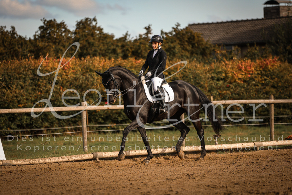 17.SoDrM00381 | Leoni Ertmer Photography - Realisiert mit Pictrs.com