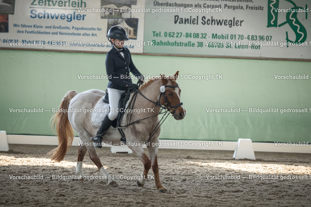 _D5A8743 | Emotionale Pferde- & People-Fotografie rund um Heidelberg, Leimen & Umgebung. Natürliche Fotos von Pferd, Mensch & Familie. Jetzt Termin sichern!