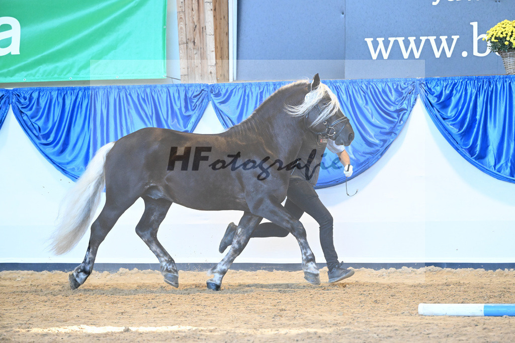 Kat-Nr. 114 Markgraf_HLG Marbach_53220802 | hf-fotografie - Realizzato con Pictrs.com