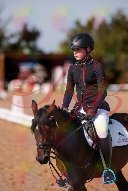 2026_10_03_Siefer-Hof_120736_Z81_10143155 | Professionelle Reitsport-, Turnier- und Eventfotografie von Robert Broda. Galerien mit ausgewählten und bearbeiteten Bildern direkt online ansehen und bestellen.