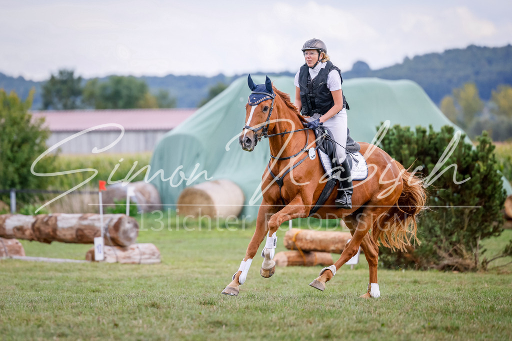 20250905-_3LI0642 | Tierfotografie Pferde, Hunde, Katzen, Haustiere.
Turnierfotografie Reitturniere, Reiten, Springreiten, Dressur in Hanau, dem Main-Kinzig-Kreis und dem Rhein-Main- Gebiet um Frankfurt