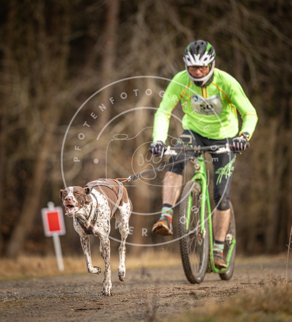 DV3A3422 | Hundefotografie, Tierfotograf, Pfotenfotografie, Fotoshooting Hund, Hunde Portrait, Hundesport, Hundeportraits, Heideshooting, Hunde, Sportfotograf, Hundefotograf, Turnierhundsport, THS,  - Realisiert mit Pictrs.com