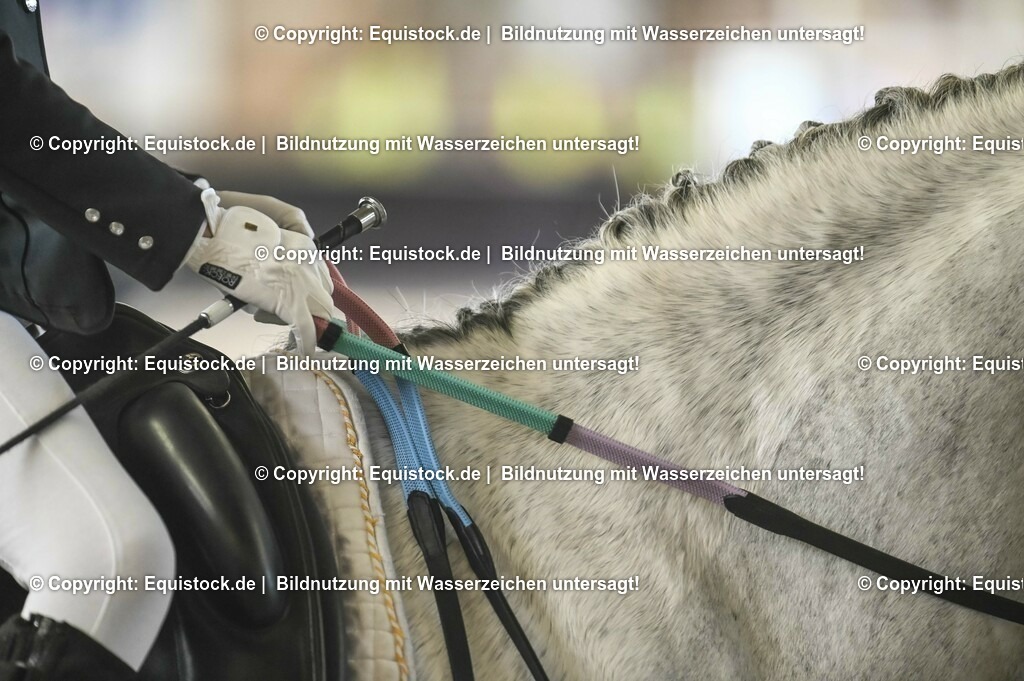 20231029_02_Reiter-WB_Schritt-Trab-Galopp_Abteilung-03_0019 | Foto: Thomas Hartig