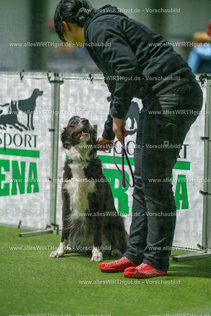 7R507258 | Professionelle Tierfotografie in Mönchengladbach von Daniel Wirth (allesWIRTHgut). Liebevolle & natürliche Bilder von Hunden & Katzen für unvergessliche Erinnerungen.