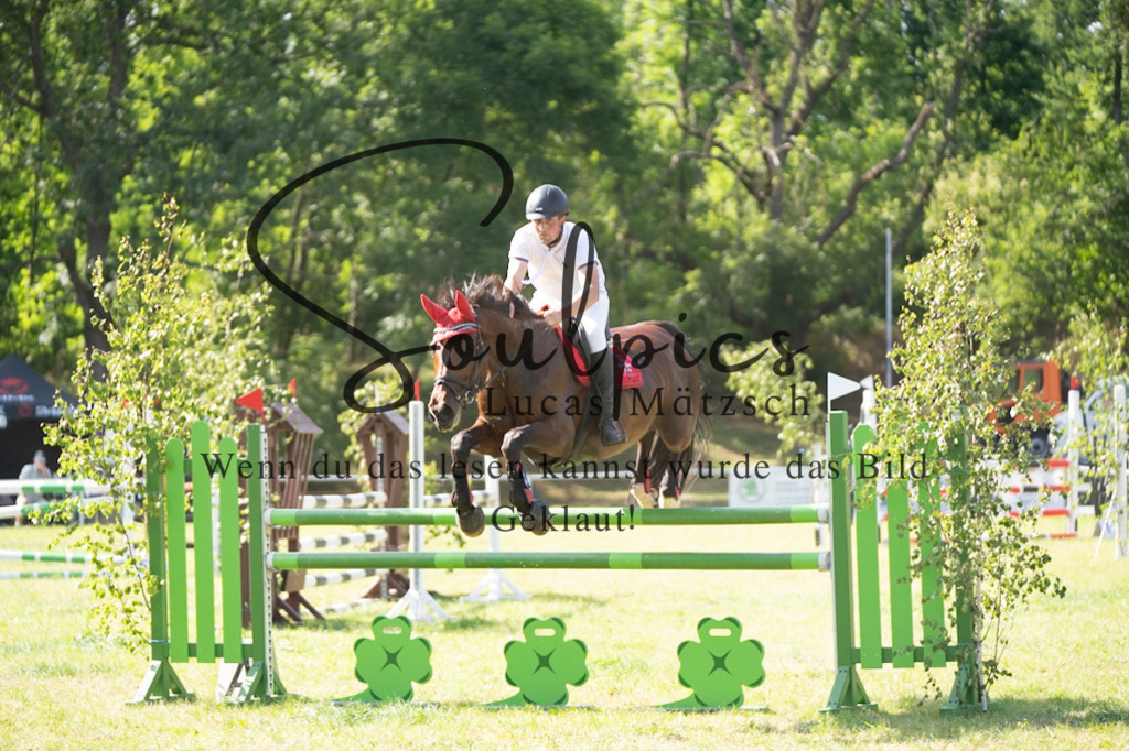 A7V06679 | Pferdefotograf