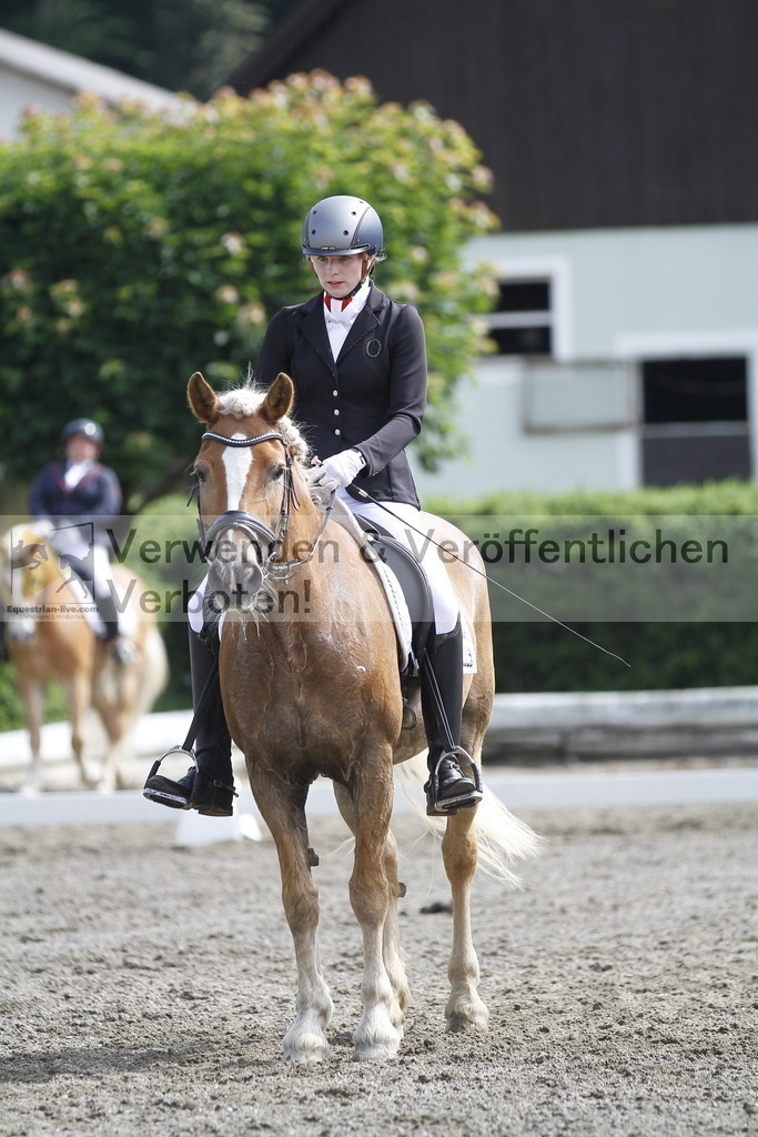 _MG_9651 | equestrian-live-com