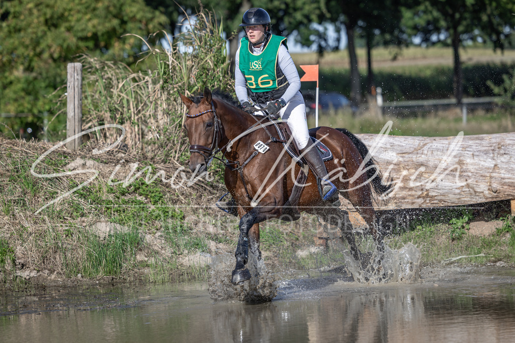 20250907-_3LI3757 | Tierfotografie Pferde, Hunde, Katzen, Haustiere.
Turnierfotografie Reitturniere, Reiten, Springreiten, Dressur in Hanau, dem Main-Kinzig-Kreis und dem Rhein-Main- Gebiet um Frankfurt