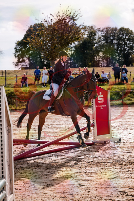 2026_10_03_Siefer-Hof_143457_Z81_02922369 | Professionelle Reitsport-, Turnier- und Eventfotografie von Robert Broda. Galerien mit ausgewählten und bearbeiteten Bildern direkt online ansehen und bestellen.