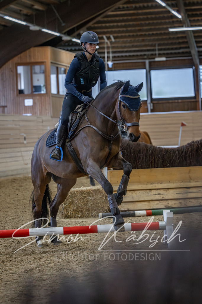 20260222-_3LI2241 | Tierfotografie Pferde, Hunde, Katzen, Haustiere.
Turnierfotografie Reitturniere, Reiten, Springreiten, Dressur in Hanau, dem Main-Kinzig-Kreis und dem Rhein-Main- Gebiet um Frankfurt