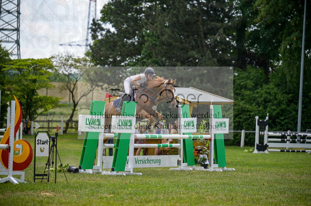 Reitturnier Voxtrup | Entdecke hochwertige Reitturnierfotos von Foto Oger. Professionell, emotional und authentisch – jetzt Lieblingsmomente im Shop bestellen.Deutschlandweite Turnierfotografie. - Realisiert mit Pictrs.com