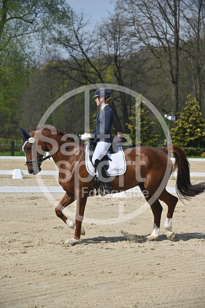 DSC_1127 | sattelsport - Realisiert mit Pictrs.com