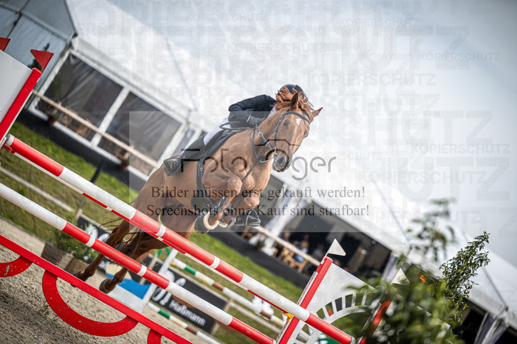 DOS_2586 | Entdecke hochwertige Reitturnierfotos von Foto Oger. Professionell, emotional und authentisch – jetzt Lieblingsmomente im Shop bestellen.Deutschlandweite Turnierfotografie. - Realisiert mit Pictrs.com