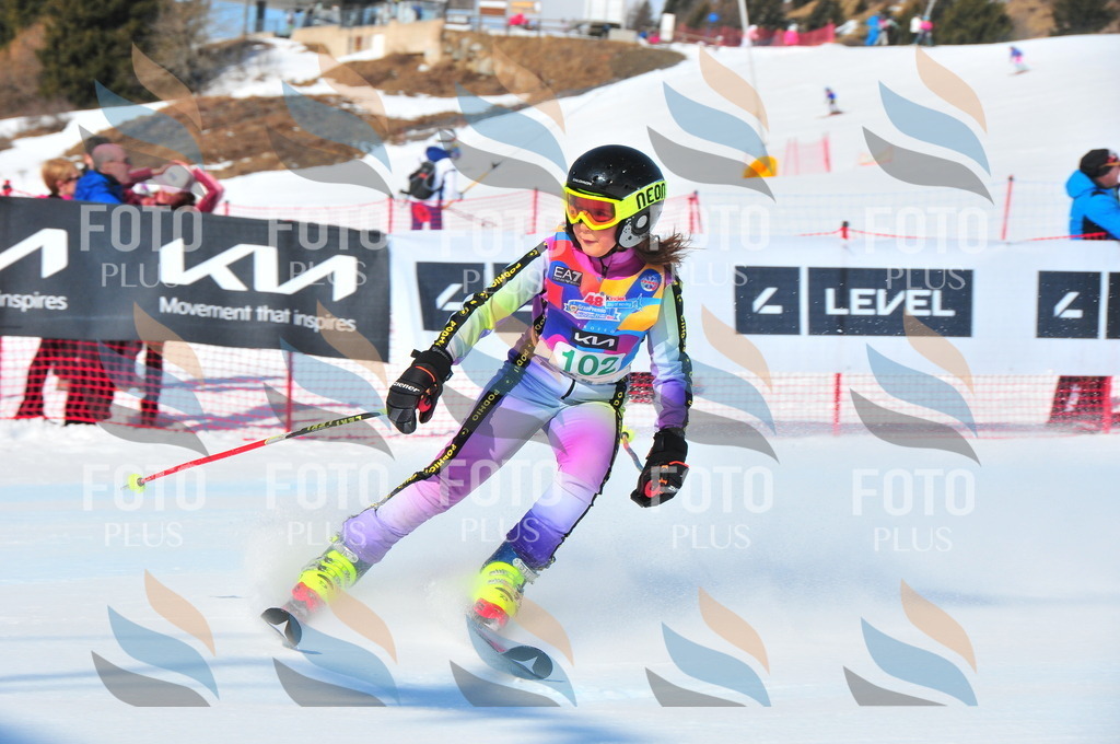 DSC_0741 | holidayphoto