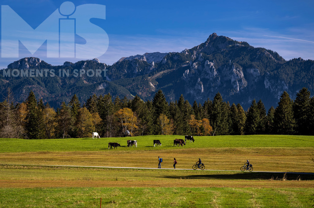 2.Liga-1860-HEIM.jpg | 17.10.2022, Herbst am Hopfensee im Allgäu (Bayern) bei Füssen. Kühe auf der Weide, dahinter ein Berggipfel. Ausflügler geniessen die Landschaft. - Realisiert mit Pictrs.com
