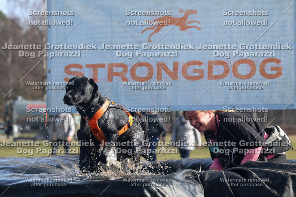 Dog Paparazzi - Strongdog North Mrz26-1384 | Dog Paparazzi Jeanette Grottendiek Fotografie & Videografie - Realisiert mit Pictrs.com