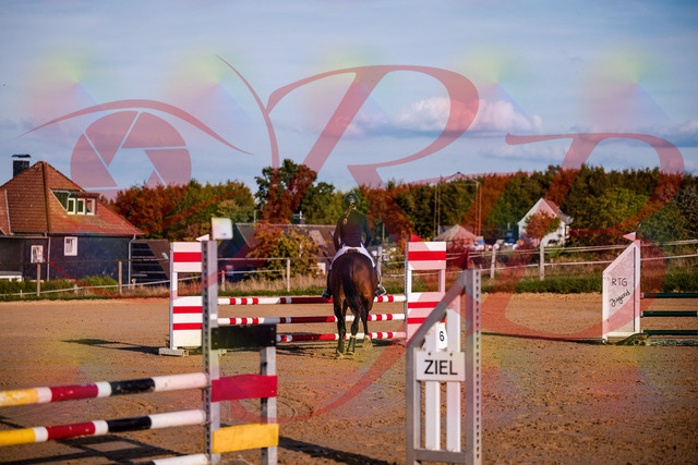 2026_10_03_Siefer-Hof_171039_Z81_07477886 | Professionelle Reitsport-, Turnier- und Eventfotografie von Robert Broda. Galerien mit ausgewählten und bearbeiteten Bildern direkt online ansehen und bestellen.