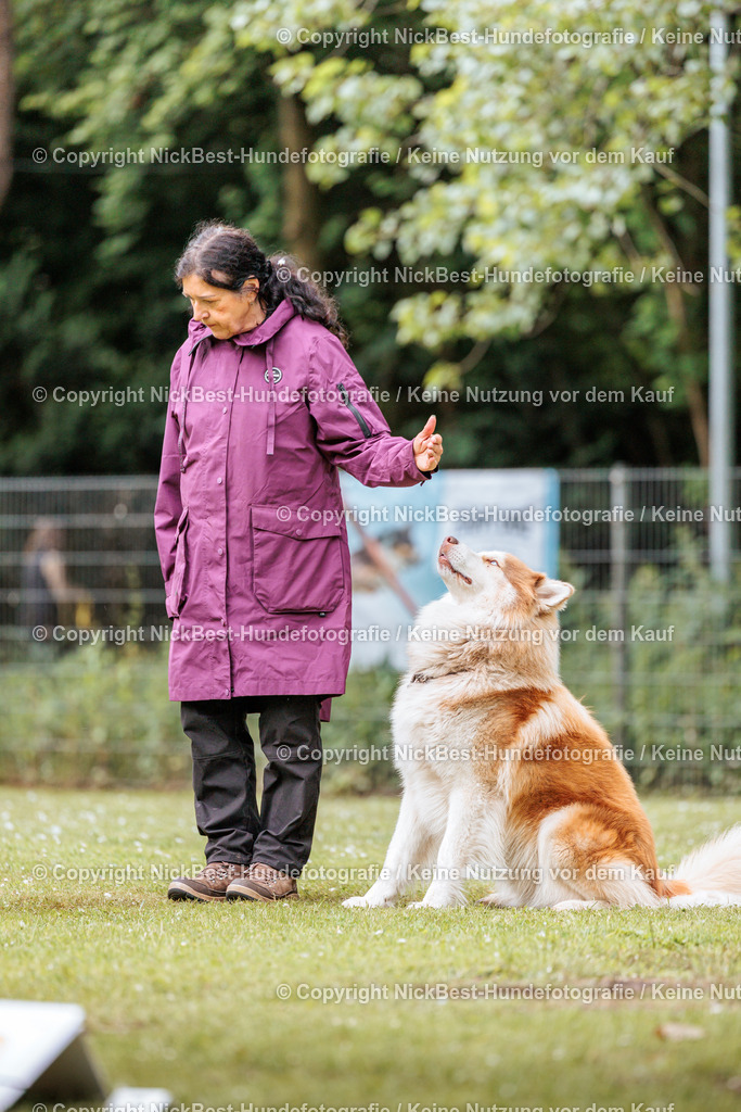 RO-Blumenthal-2026-Nickbest-Hundefotografie-2104 | Dein Hund! Dein Moment! Deine Erinnerungen! Hundefotografie in Bremen Blumenthal. Ich fange die besonderen Momente deines Vierbeiners ein – ob Indoor mit Blitzanlage oder in der freien Natur. Sicher dir dein Moment und dein Termin für eure Erinnerungen.