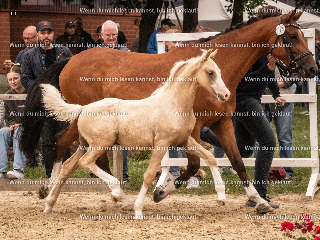 A10I2078 15.54.45 | photographylinaismer - Realisiert mit Pictrs.com